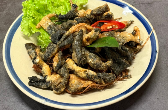 đôi nét về ếch deli